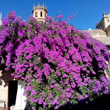 Palacio Guzmanes 3* Baños de la Encina